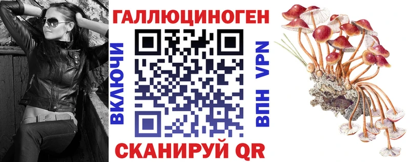 darknet как зайти  Сертолово  Псилоцибиновые грибы Magic Shrooms 