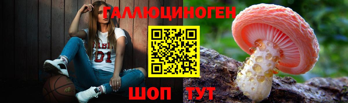 Галлюциногенные грибы прущие грибы Сертолово